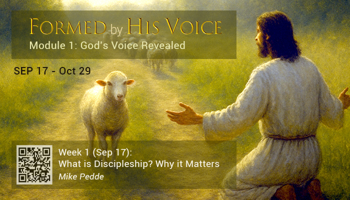 McKernan Abound Study Group