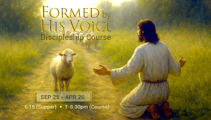 McKernan Abound Study